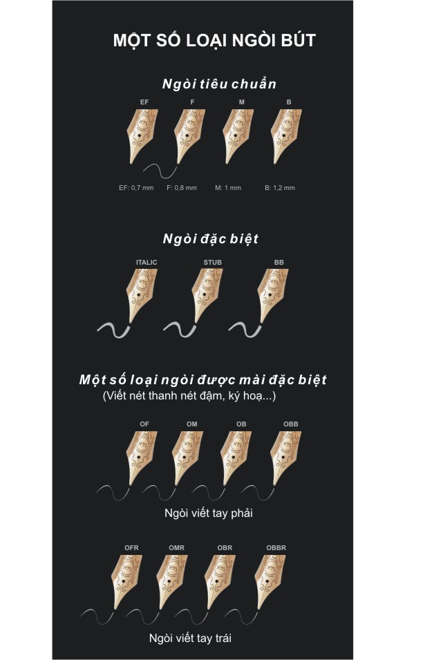 Mot-so-loai-ngoi-but-may-thong-dung