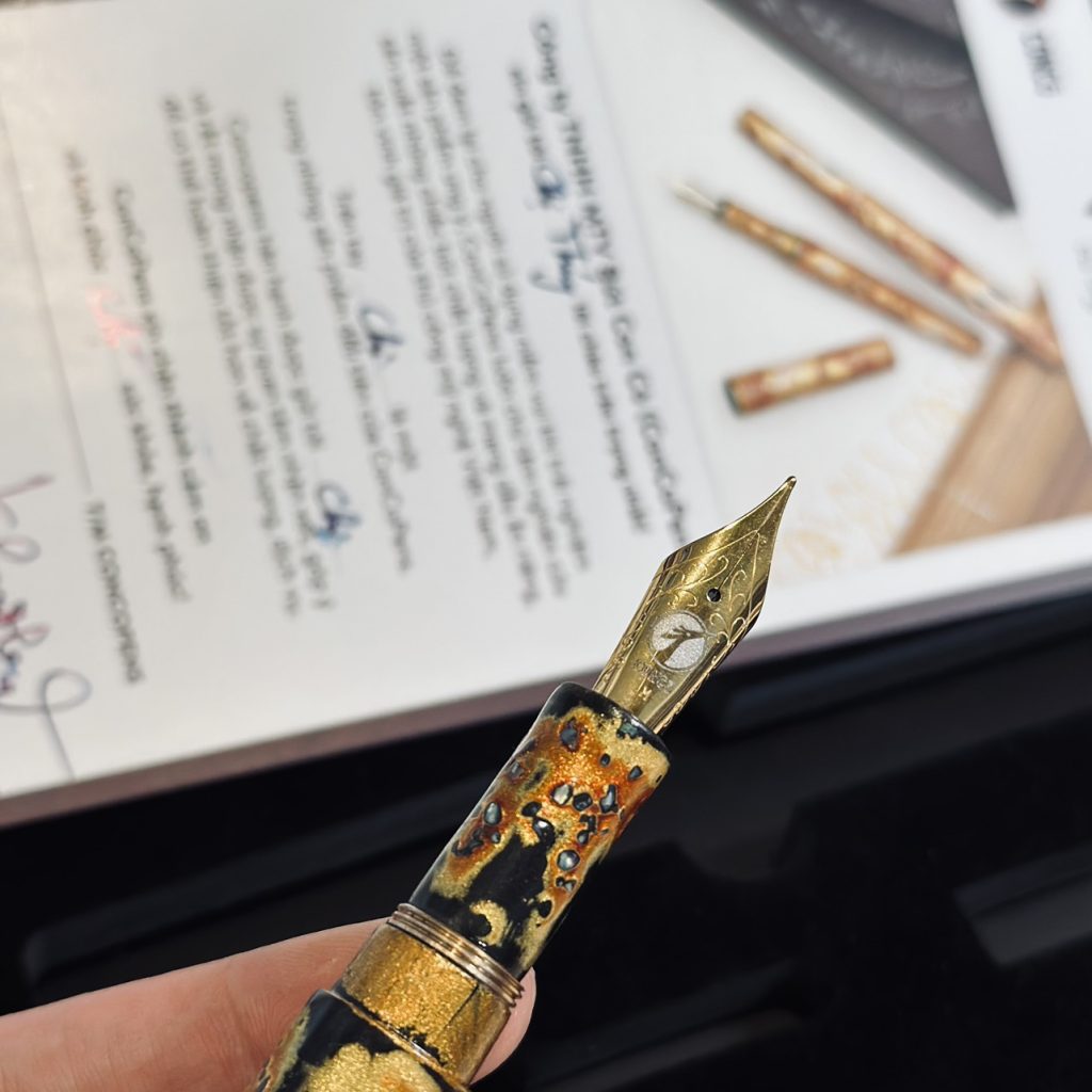 How to insert a nib into a fountain pen